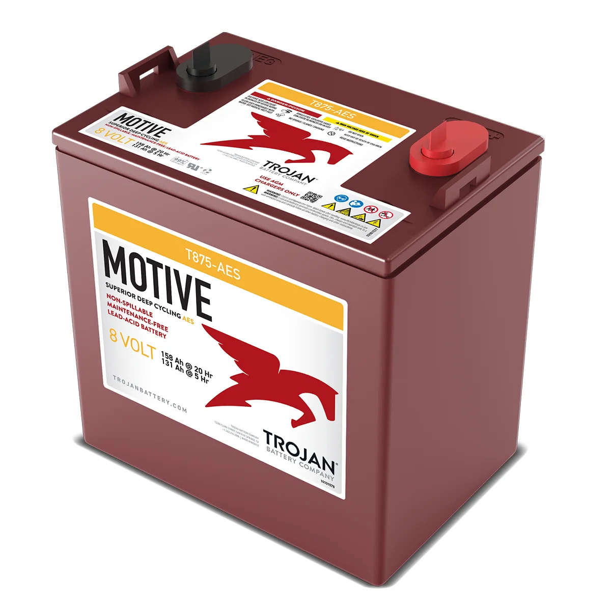 Trojan T-875 AES AGM Batterie 8V 170Ah wartungsfrei VRLA Deep Cycle