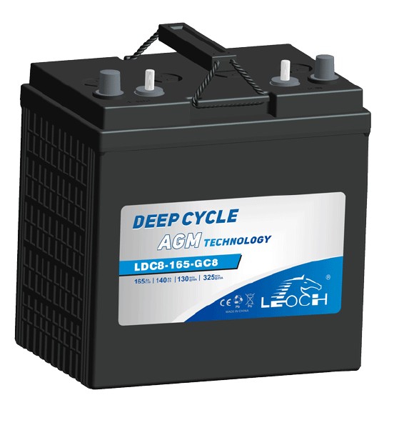 Leoch LDC8-165-GC8